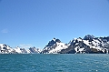 347_Antarctica_South_Georgia_Drygalski_Fjord 